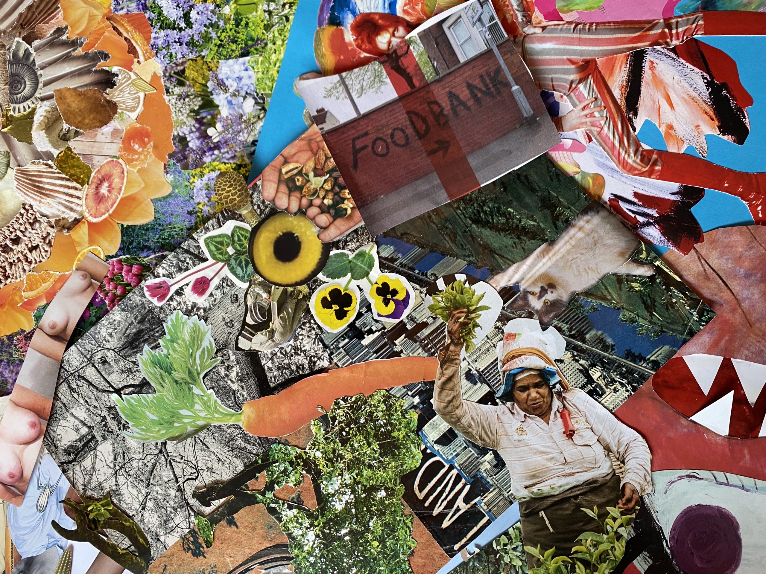 A photograph of collage images on the laid on the floor. Pieces of magazines and colourful card are cut out and arranged to make a colourful composition.